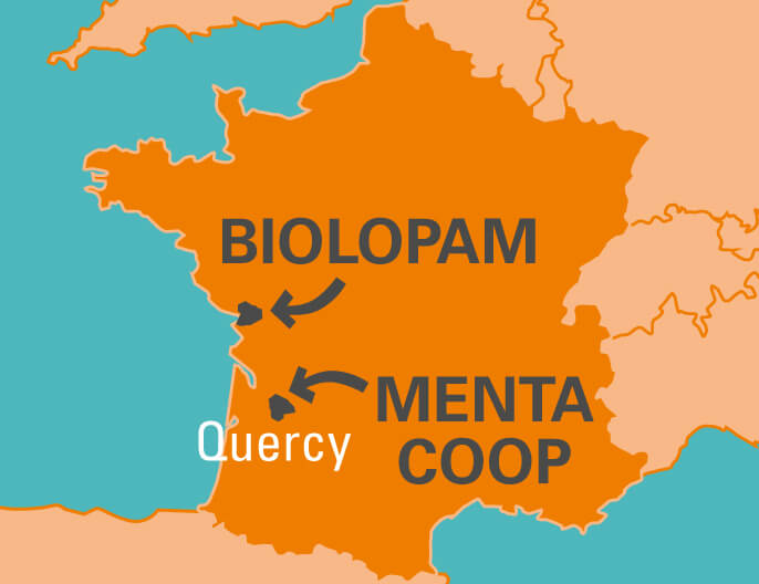 Carte coopÃ©ratives Biolopam et Menta Coop France - Huile essentielle menthe